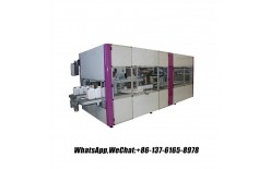 30L全自动化塑料小桶液体灌装机